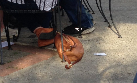 Cachorro que parece bolsa Cachorro que parece bolsa